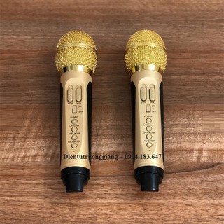 Loa Bluetooth Karaoke SDRD SD-306 kém 2 Micro