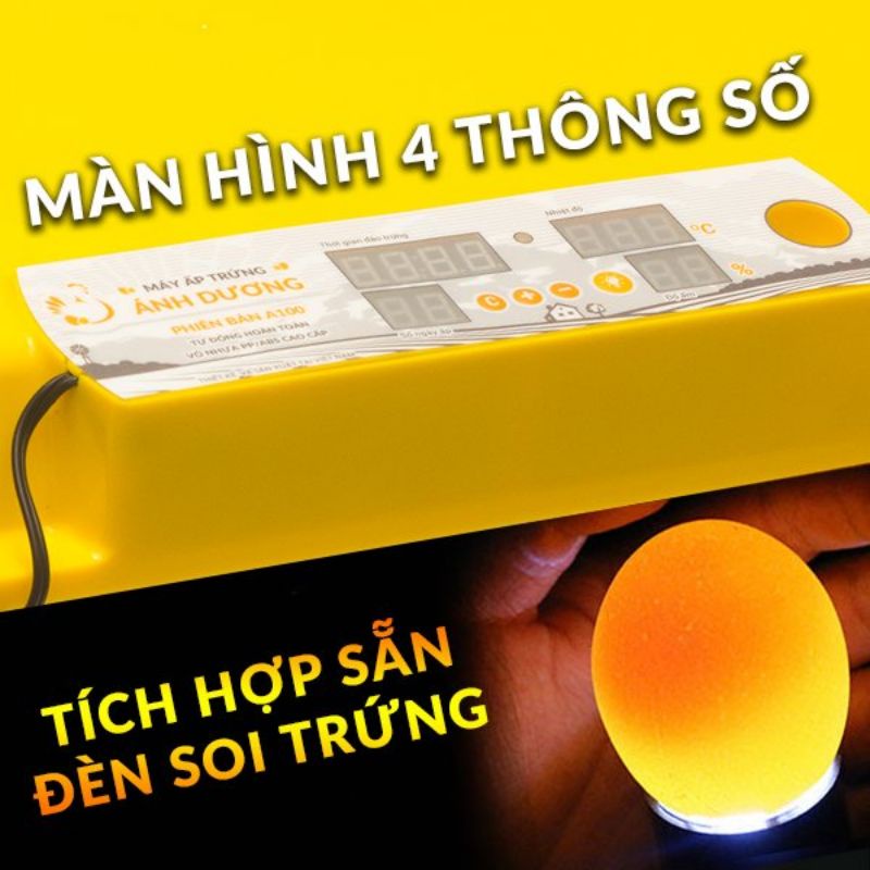 Máy Ấp Trứng Ánh Dương A100 - 54 Trứng(Lắp Sẵn + Tự Động)