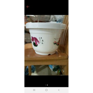 Combo 50 cái chậu trồng cây bốn mùa phi 28cm x19cm