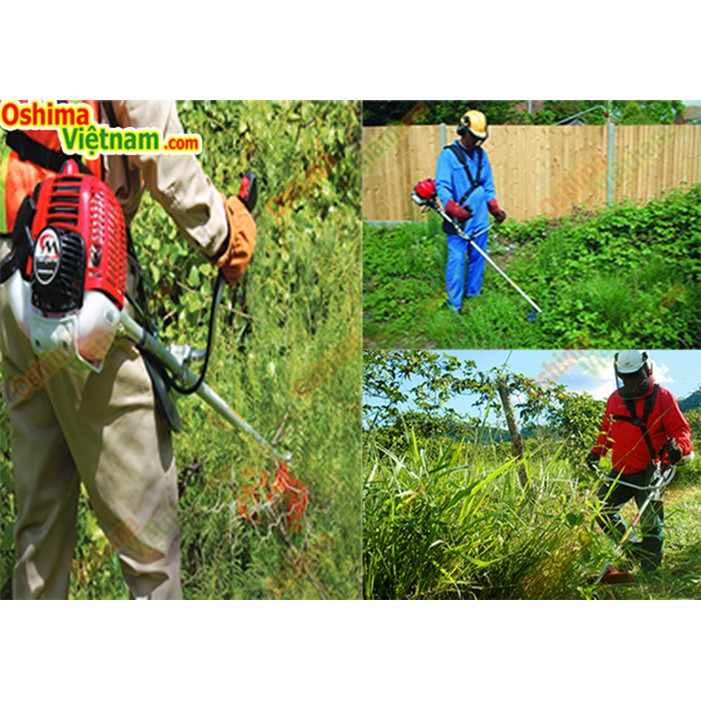 Máy Cắt Cỏ Maruyama NE420