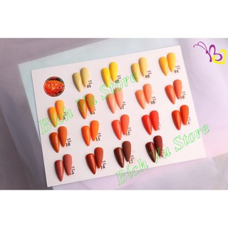 Sơn Gel AS mã COE