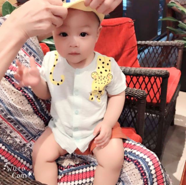 Bộ quần áo trẻ em cộc tay♥️Cotton Organic♥️chính hãng Cordi-i Hàn Quốc🌿 nhập khẩu-Báo vàng🐆