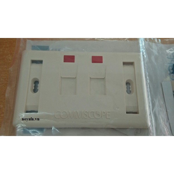 Mặt mạng 2 cổng hãng Commscope/ AMP hình chữ nhật