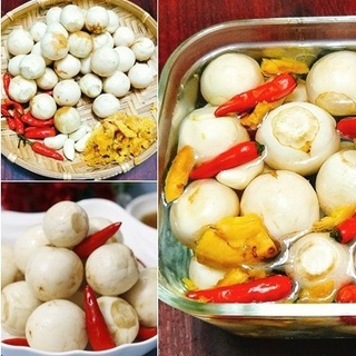 Hạt Giống Cà Pháo Trắng (1g)