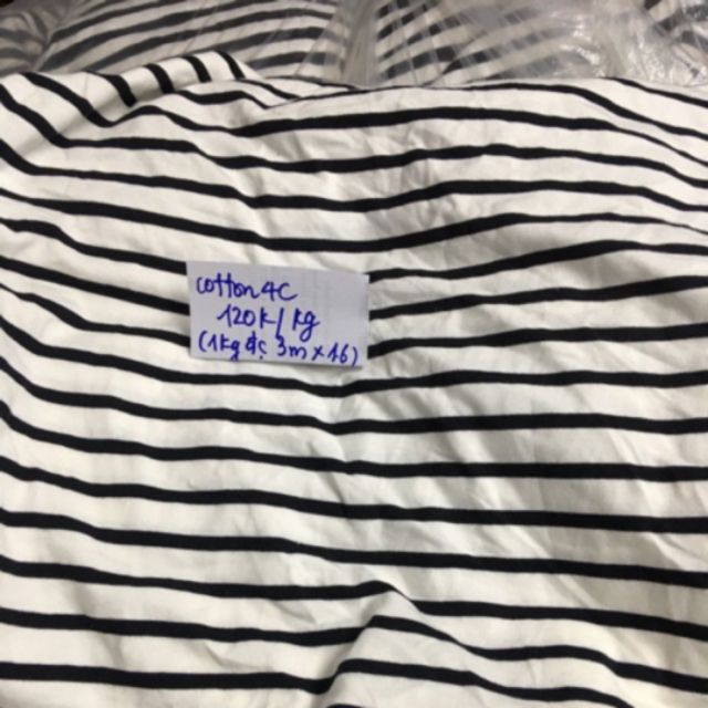 Vải cotton kẻ ngang