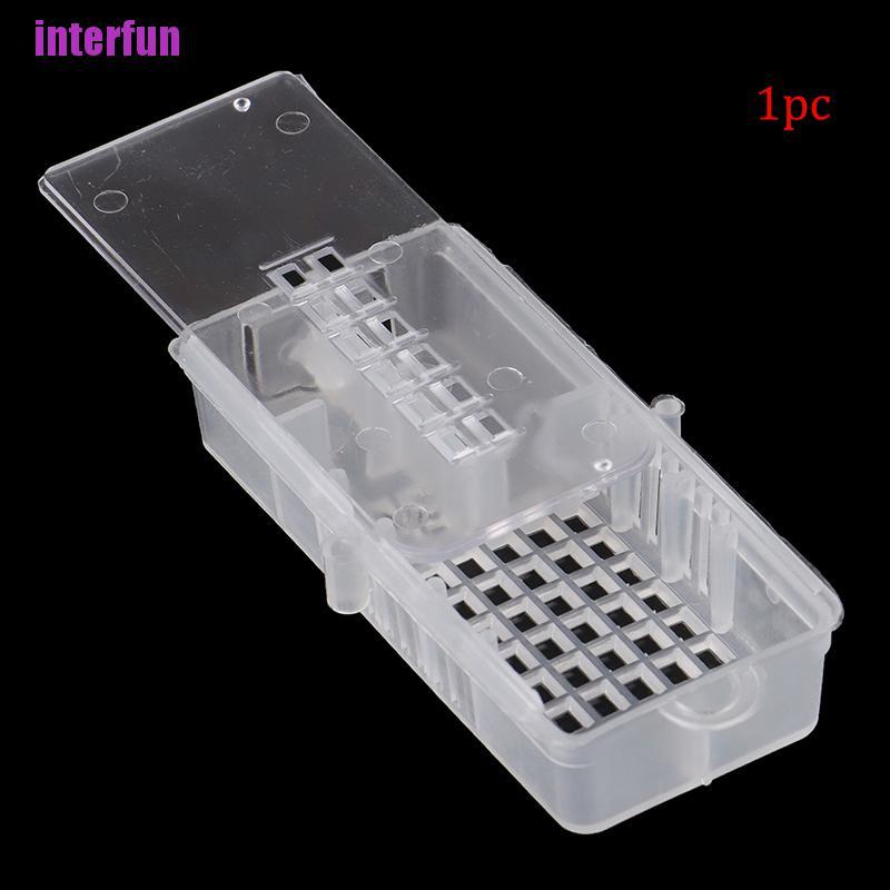 Bộ Đồ Chơi Chú Ong Hoàng Gia Tỉ Lệ 1 / 10