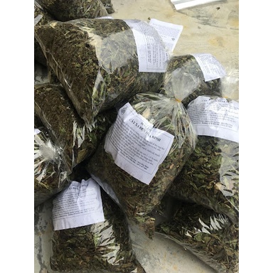 Xạ đen hòa bình (500g), lá xạ đen khô, cây xạ đen khô, cho người máu nhiễm mỡ, gan nhiễm mỡ, huyết áp cao, mất ngủ