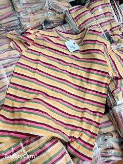 Áo phông thun kẻ ngang màu