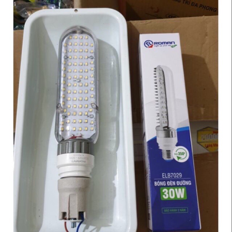 Bộ đèn đường led siêu sáng 30w ROMAN