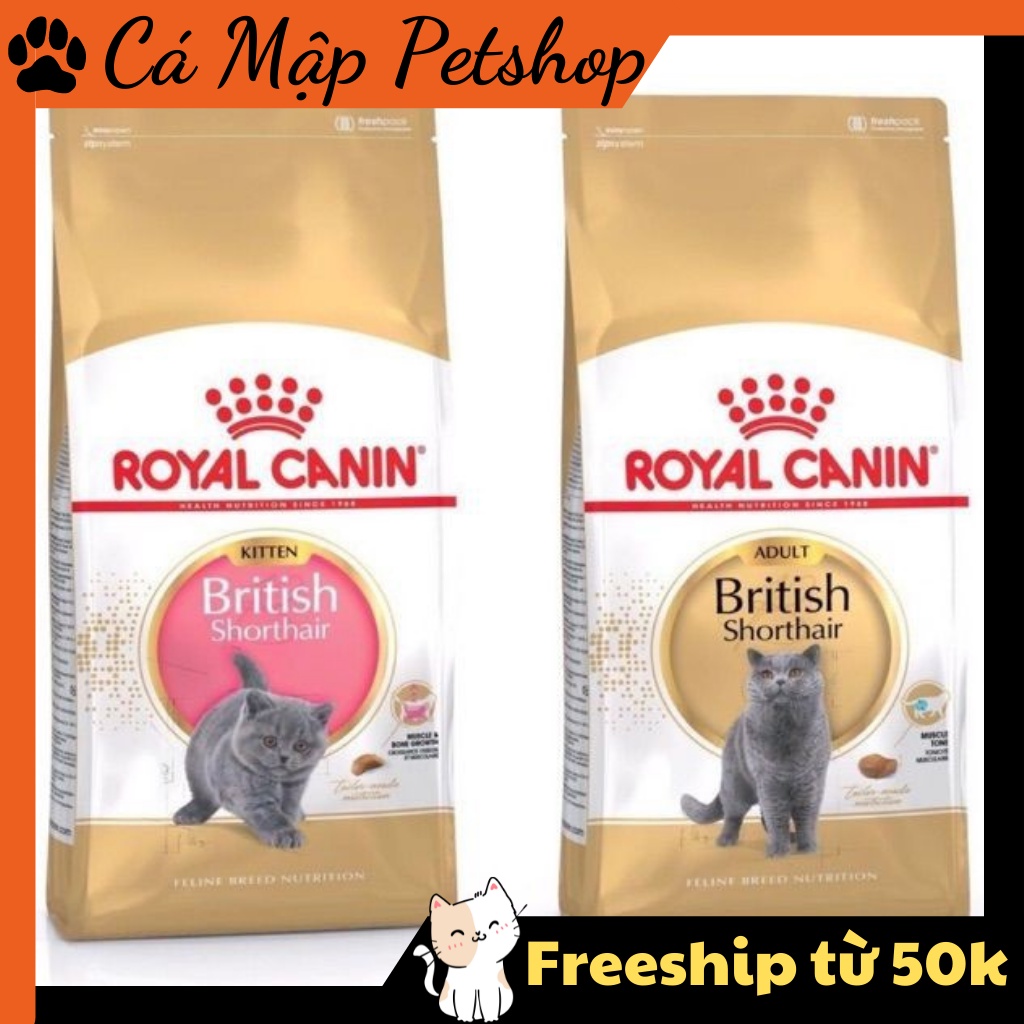 Hạt cho mèo Anh Lông Ngắn Royal Canin British Shorthair