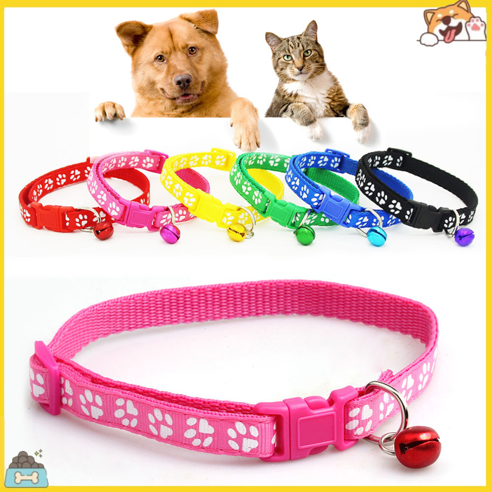 Vòng cổ có thể điều chỉnh thiết kế hợp thời trang cho thú cưng