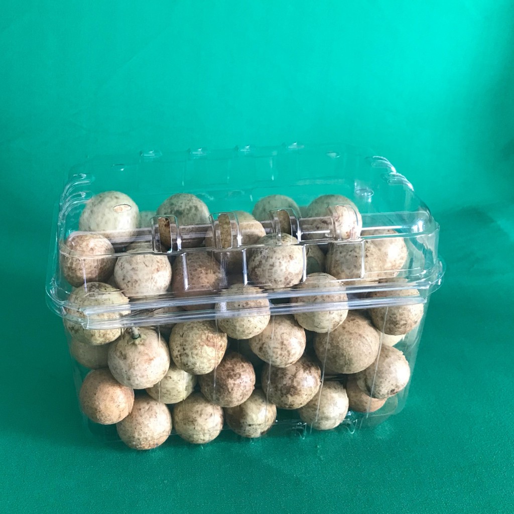 100 BỘ HỘP NHỰA ĐỰNG TRÁI CÂY (1000 gram)