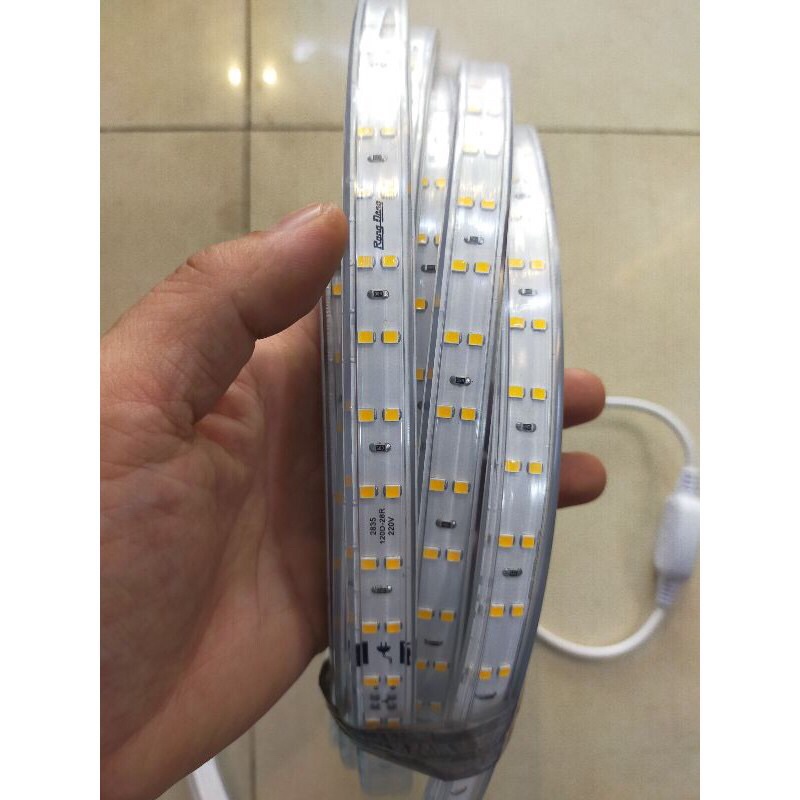 Dây led cuộn Rạng Đông hắt trần quấn cây trang trí nội thất