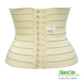 Gen nịch bụng Nhật Loại I