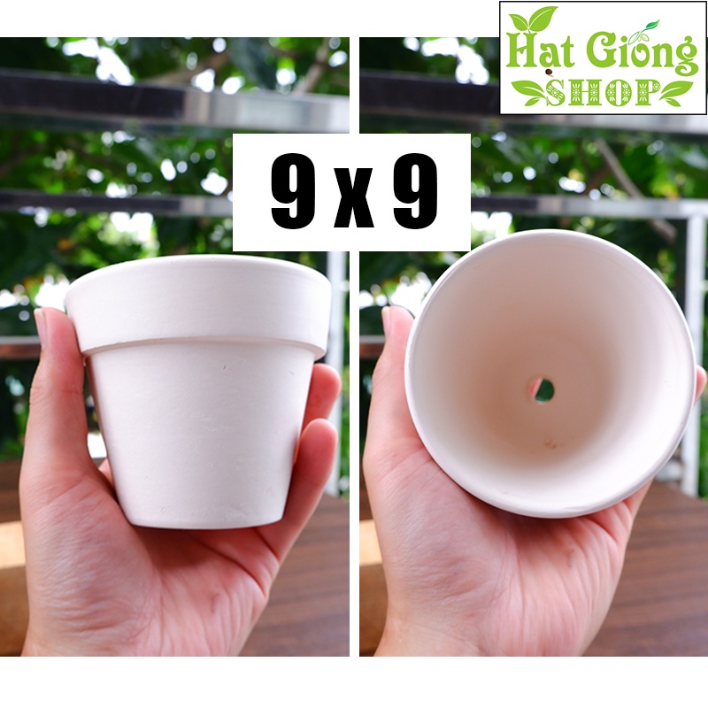 Chậu Đất nung trắng gờ mini - phù hợp trồng sen đá xương rồng