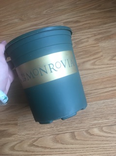 Chậu monrovia 1gl màu xanh