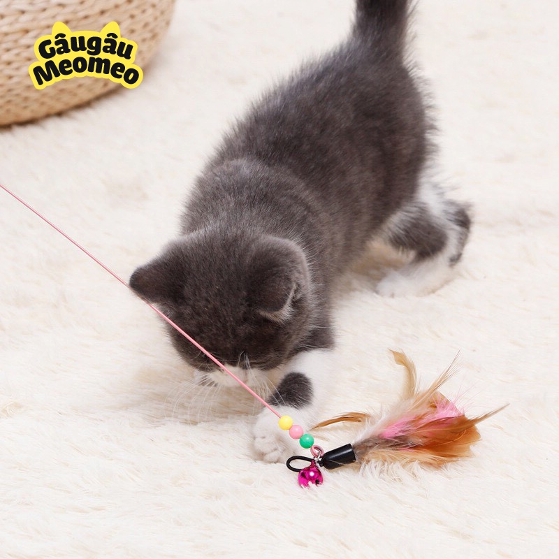 Đồ chơi cho mèo đuổi bắt Dây chuông vui nhộn
