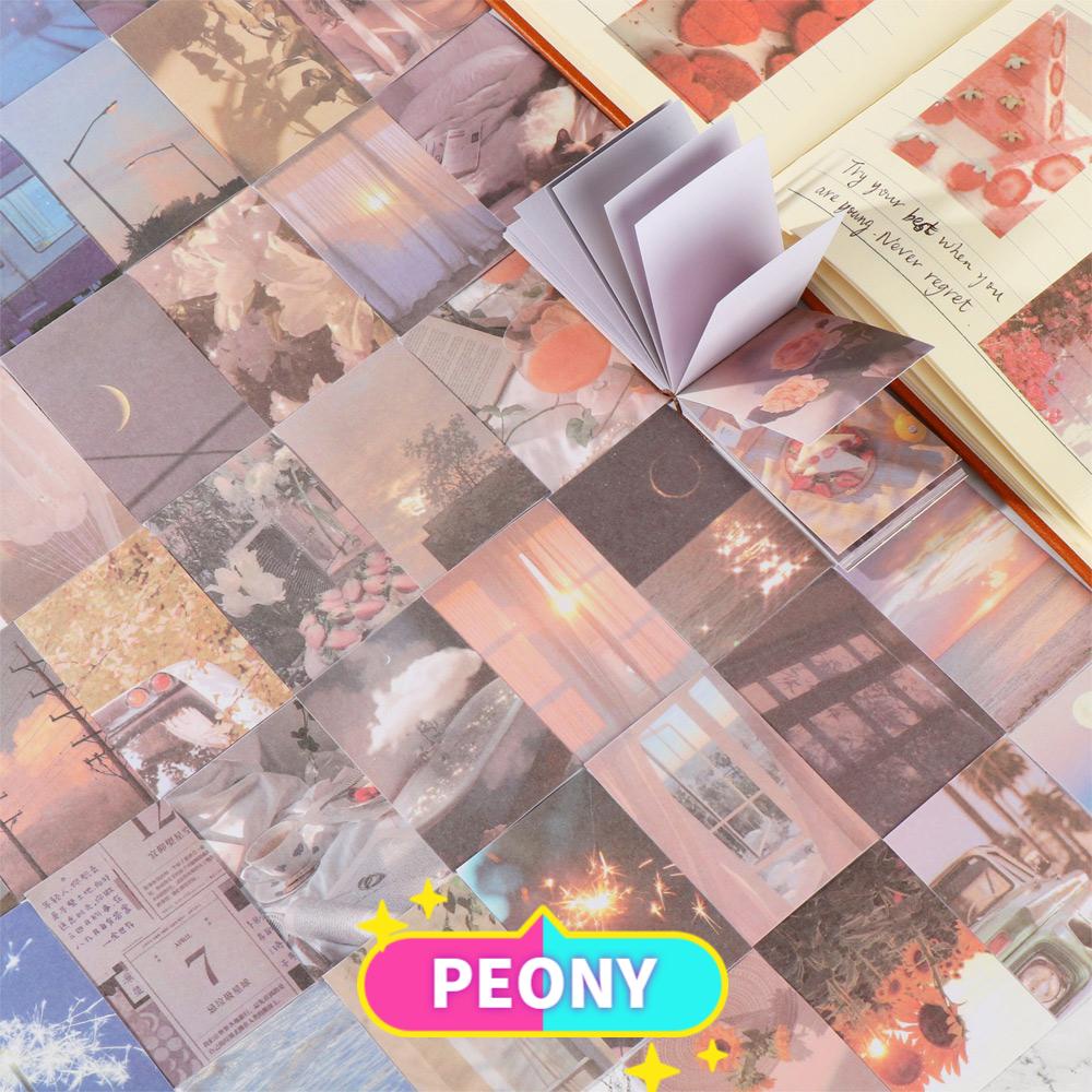 Bộ 50 miếng dán tự dính Washi hình phong cảnh thiên nhiên cây hoa dán ghi nhớ cho album ảnh/tạp chí/nhật ký/sổ kế hoạch