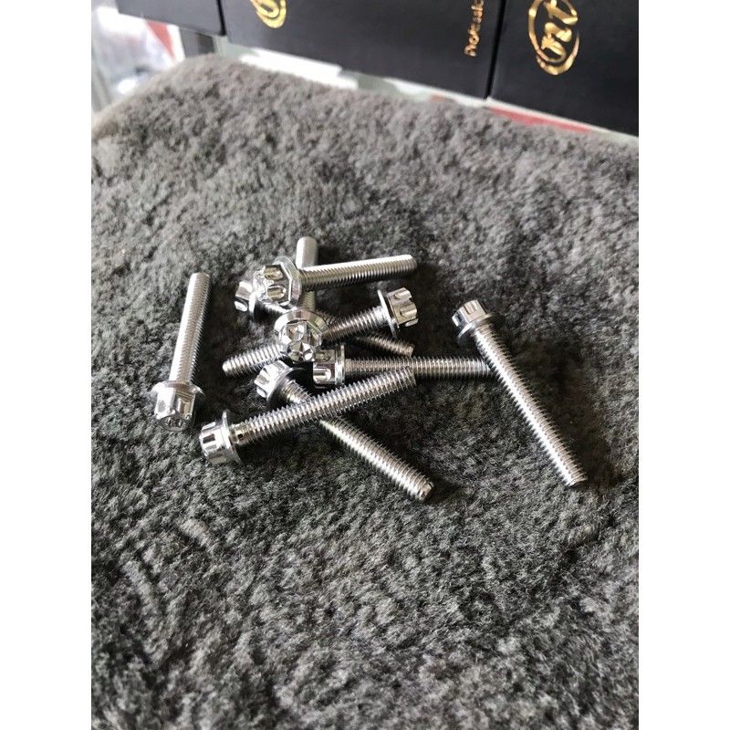 Ốc 6li40 Inox Salaya Gắn Mặt Nạ Exciter 135