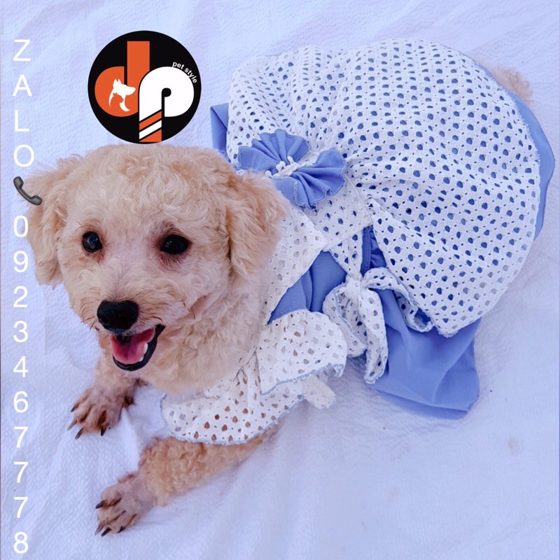 Đầm lolita dành cho thú cưng quần áo chó mèo - DP petstyle
