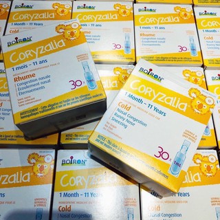 Tép muối cozyzalia