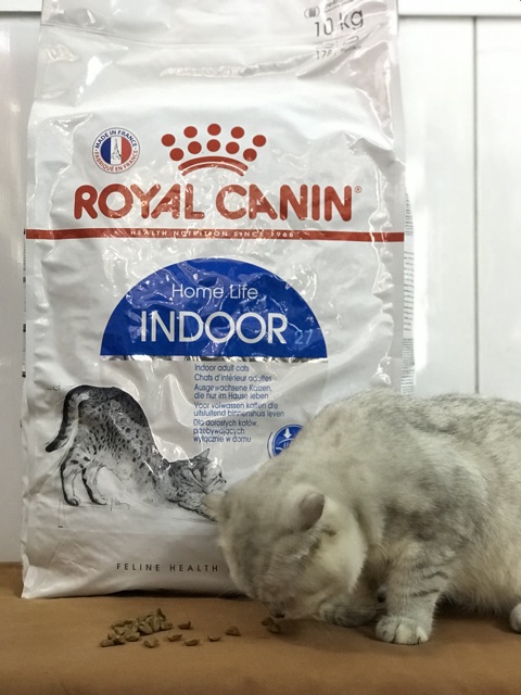 [Mã 155FMCGSALE giảm 7% - tối đa 100K đơn 500K] Thức ăn hạt mèo lớn Royal Canin Indoor 10kg