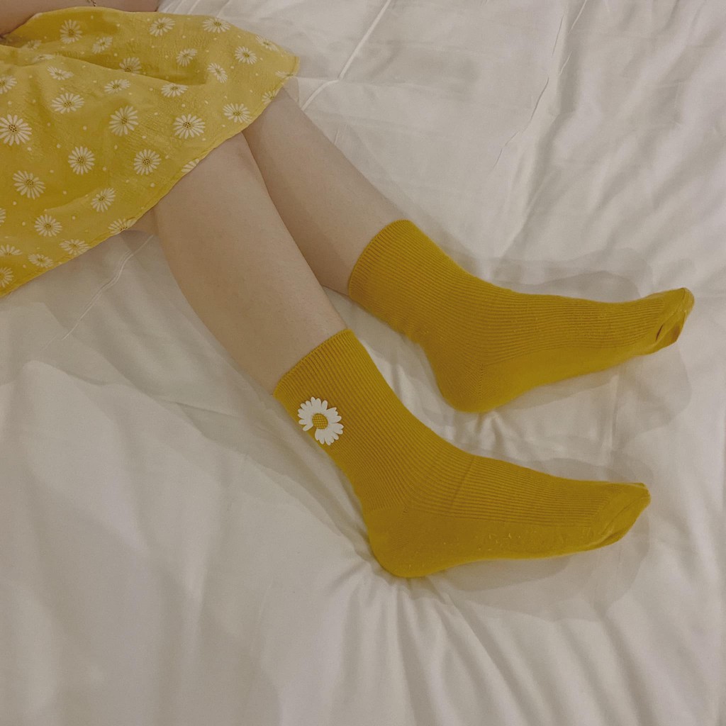 Vớ daisy chất dày dặn hoa nổi