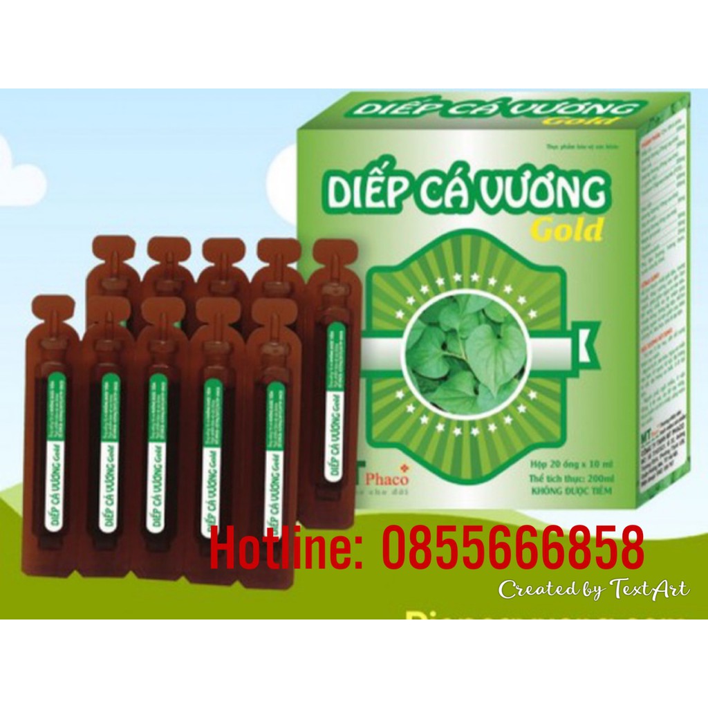 SẢN PHẨM DIẾP CÁ VƯƠNG GOLD DẠNG ỐNG