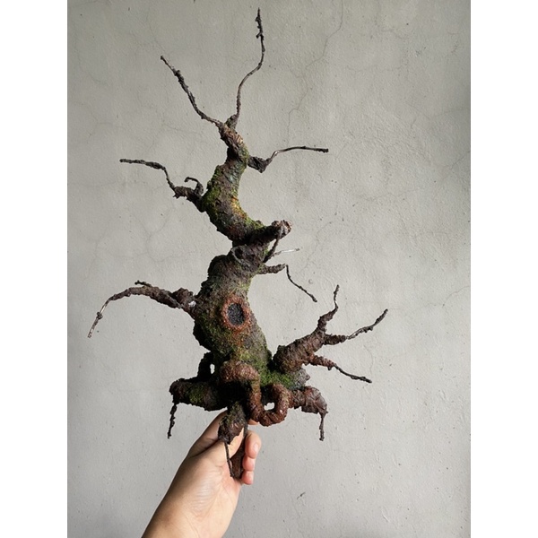 Gốc bonsai, thân cây bonsai Mẫu tử 25cm,làm hoa mai đào,hoa Handmade trang trí nhà cửa