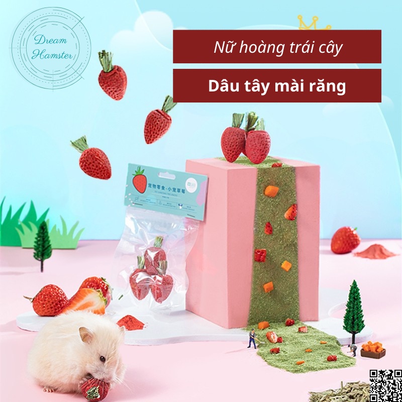 Dâu tây mài răng Yee cho hamster, sóc, thỏ và động vật nhỏ khác