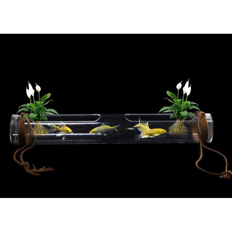 Bể tép cá acrylic hình dạng ống tròn dài 50cm