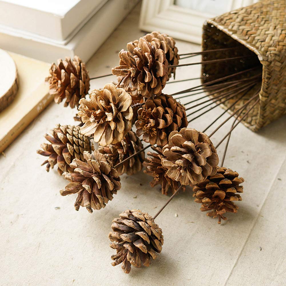 QUẢ THÔNG KHÔ TRANG TRÍ NOEL