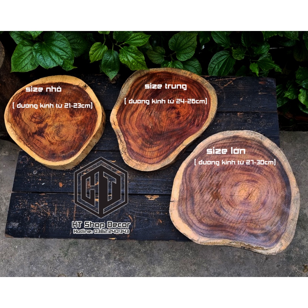 Đế vân gỗ tự nhiên Dùng Để tượng, gốm, ấm trà , Lót Ly Tách, Nến Thơm, chậu bonsai