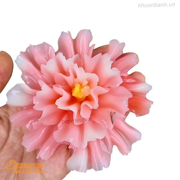 Khuôn silicon hoa cẩm chướng hoa phăng