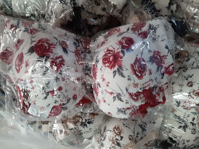 Áo lót đúc hoa bàn tay dày nâng ngực  Hot nhất 2019 | BigBuy360 - bigbuy360.vn