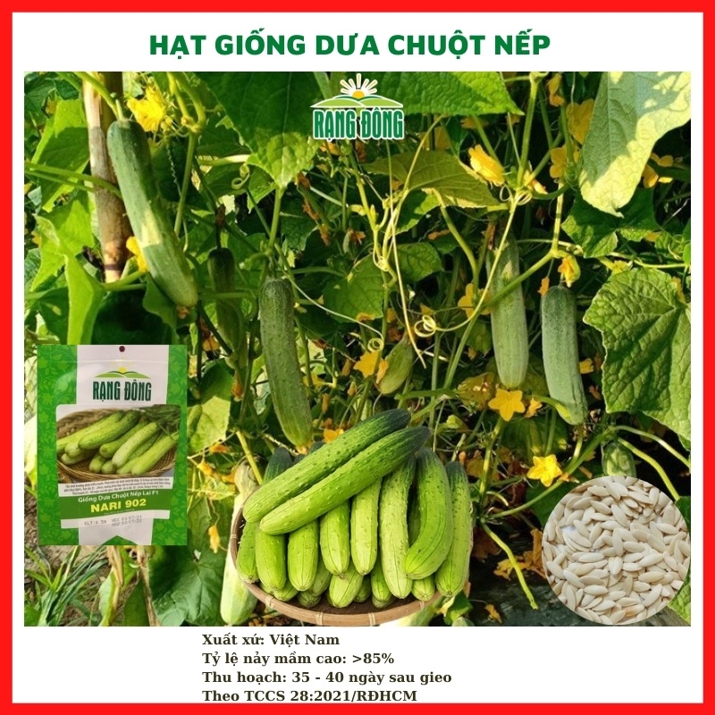 Hạt giống dưa leo - dưa chuột nếp thơm siêu trái lai F1 - rau củ quả trồng chậu, trồng vườn 0,5gr RADO NARI 902