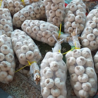 Garlic - 1kg Tỏi khô Phan Rang