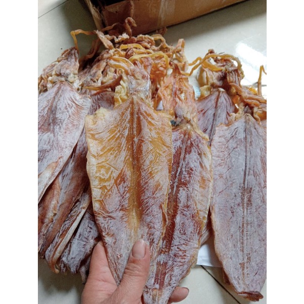 Khô mực câu Nghệ An size 16-18 con/kg -  nướng cồn, than hoa chuẩn ngon, thân dày mình, phơi khô tự nhiên