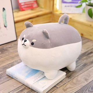 thú nhồi bông hình chó shiba, đẹp và siêu đáng yêu, dễ thương