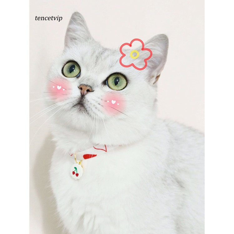 Vòng Cổ Gắn Chuông Dùng Làm Đạo Cụ Chụp Ảnh Cho Thú Cưng