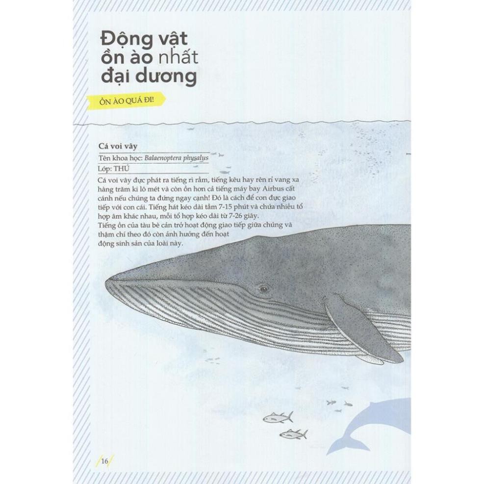 Sách - Các Kỷ Lục Tự Nhiên Bằng Tranh [Nhã Nam]