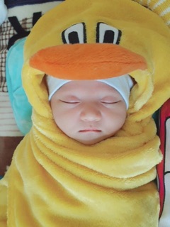 Chăn ủ thú mùa đông cho bé
