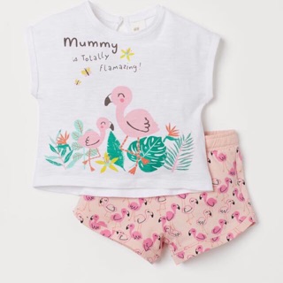 Set hạc hồng HM