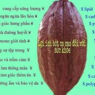 Bột ca cao nguyên chất