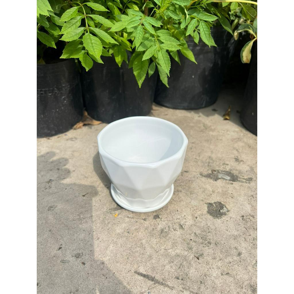 Chậu sứ trồng cây XUAN DONG GARDEN kèm đĩa hứng nước, chậu trồng cây đẹp để bàn, cây văn phòng