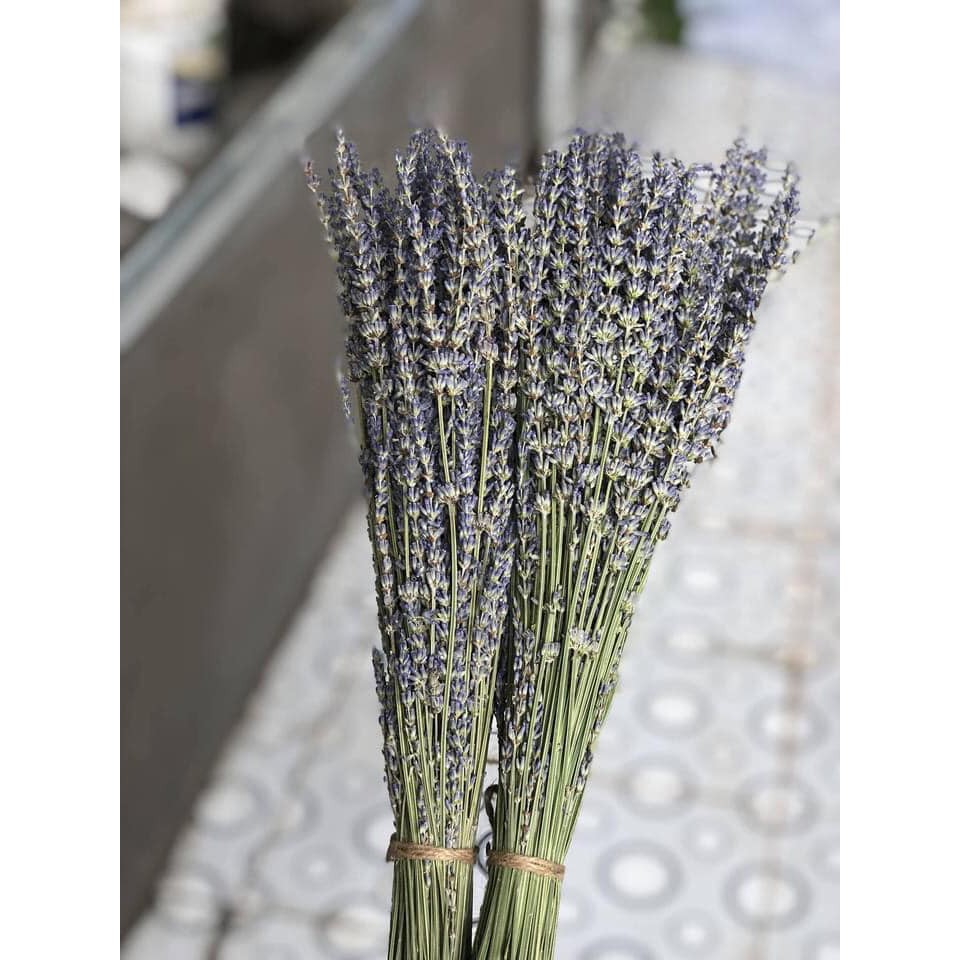 Bó hoa OẢI HƯƠNG sấy khô ( hoa Lavender)