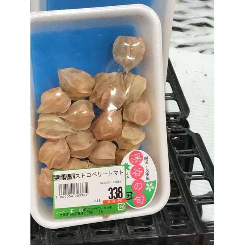 Cây Tầm Bóp khô 1kg ( cây thù lù, cây lồng đèn, cây bôm bốp) hàng chuẩn loại 1