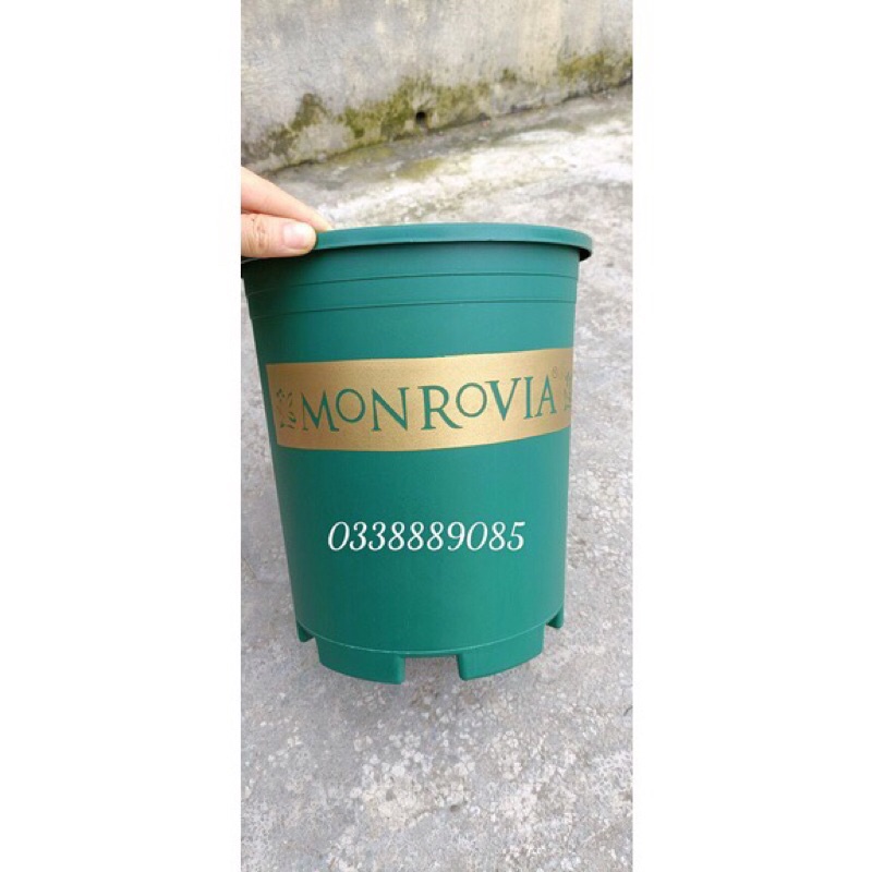 Combo 10 chậu 3, 5gal MONROVIA trồng cây, hoa, hàng sẵn kho