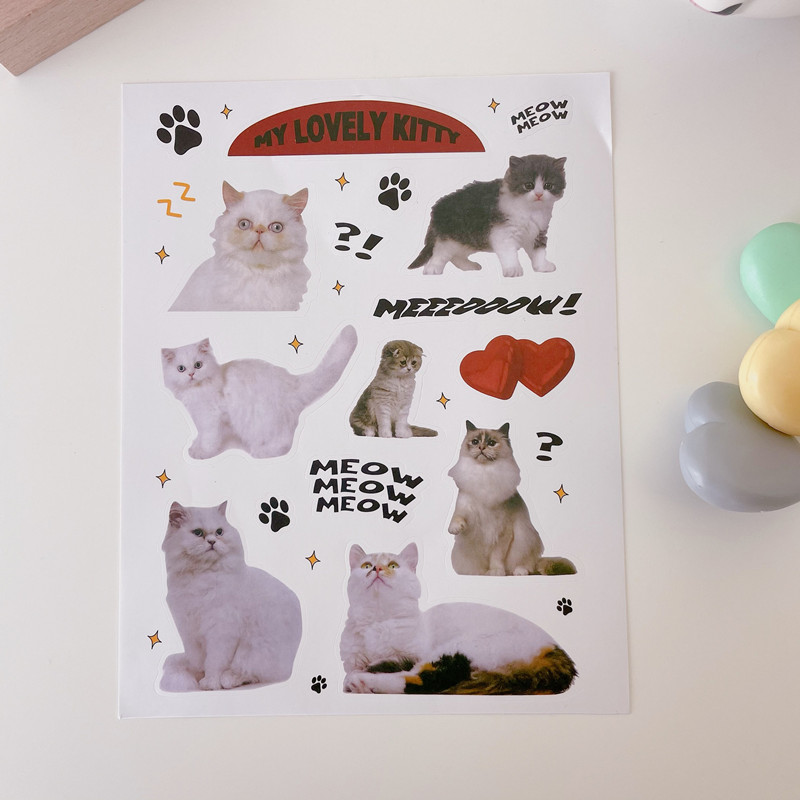 Miếng dán hình mèo đáng yêu dùng trang trí cho lều cắm trại