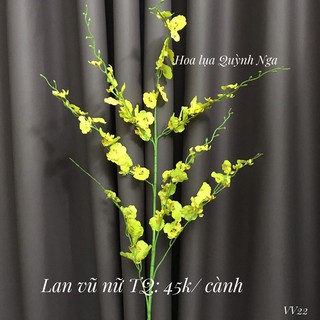 Cành lá táo xịn